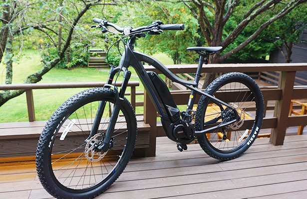 Rental e-Bike