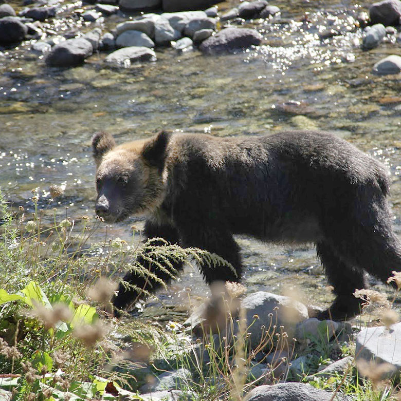 ひがし北海道の観光拠点に最適なロケーション